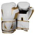 Premium Training Gloves for Boxing & Kickboxing